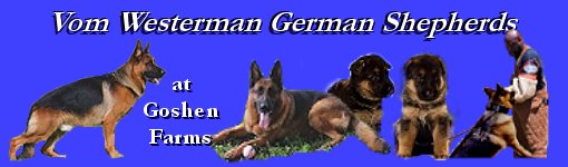 America's GERMAN German Shepherd Purebred Importer and Breeder